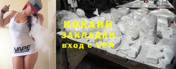 стаф Алзамай