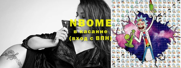 стаф Алзамай