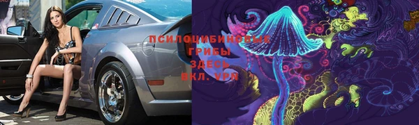 стаф Алзамай